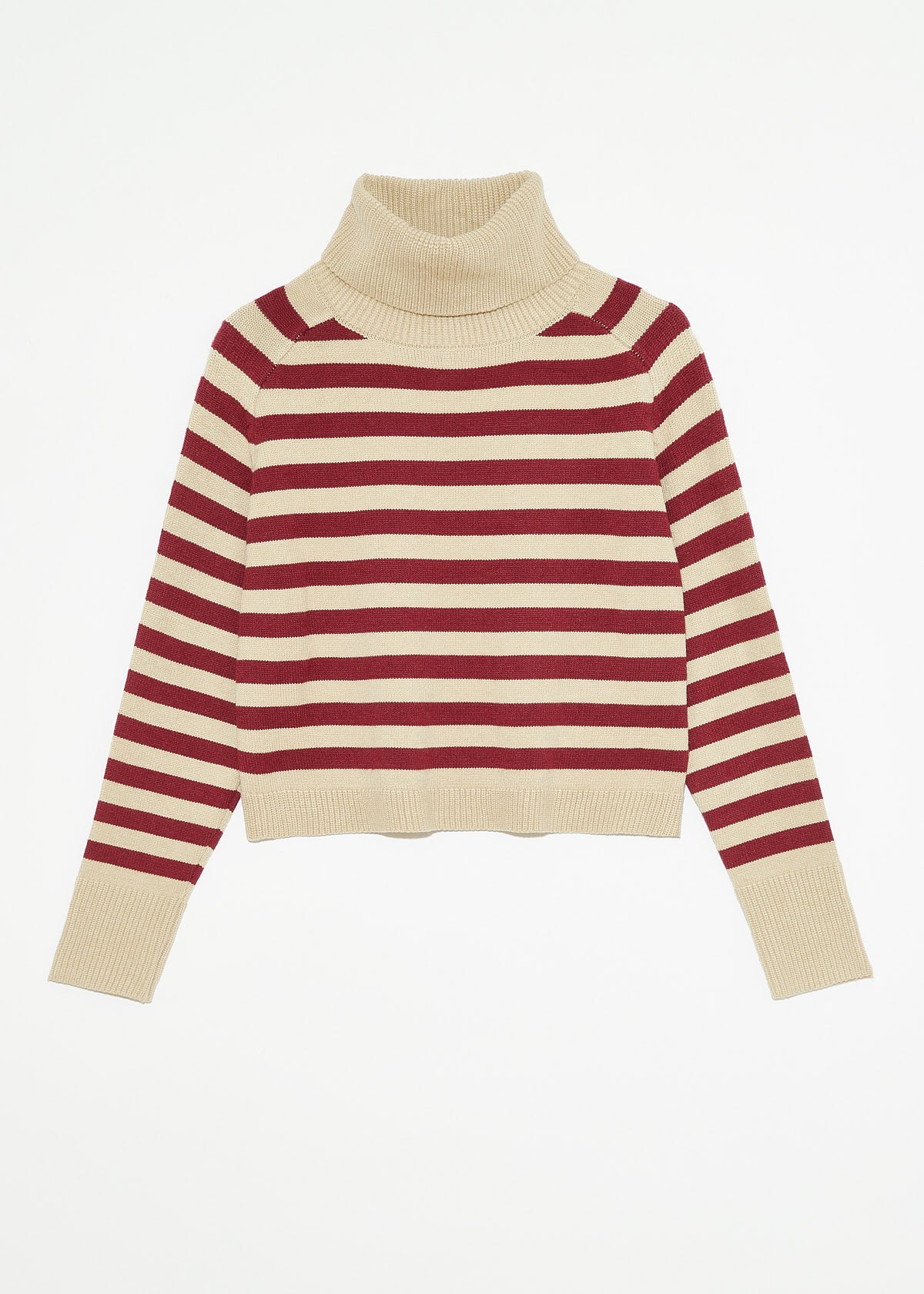 PUGLIESE STRIPED TURTLENECK SWEATER