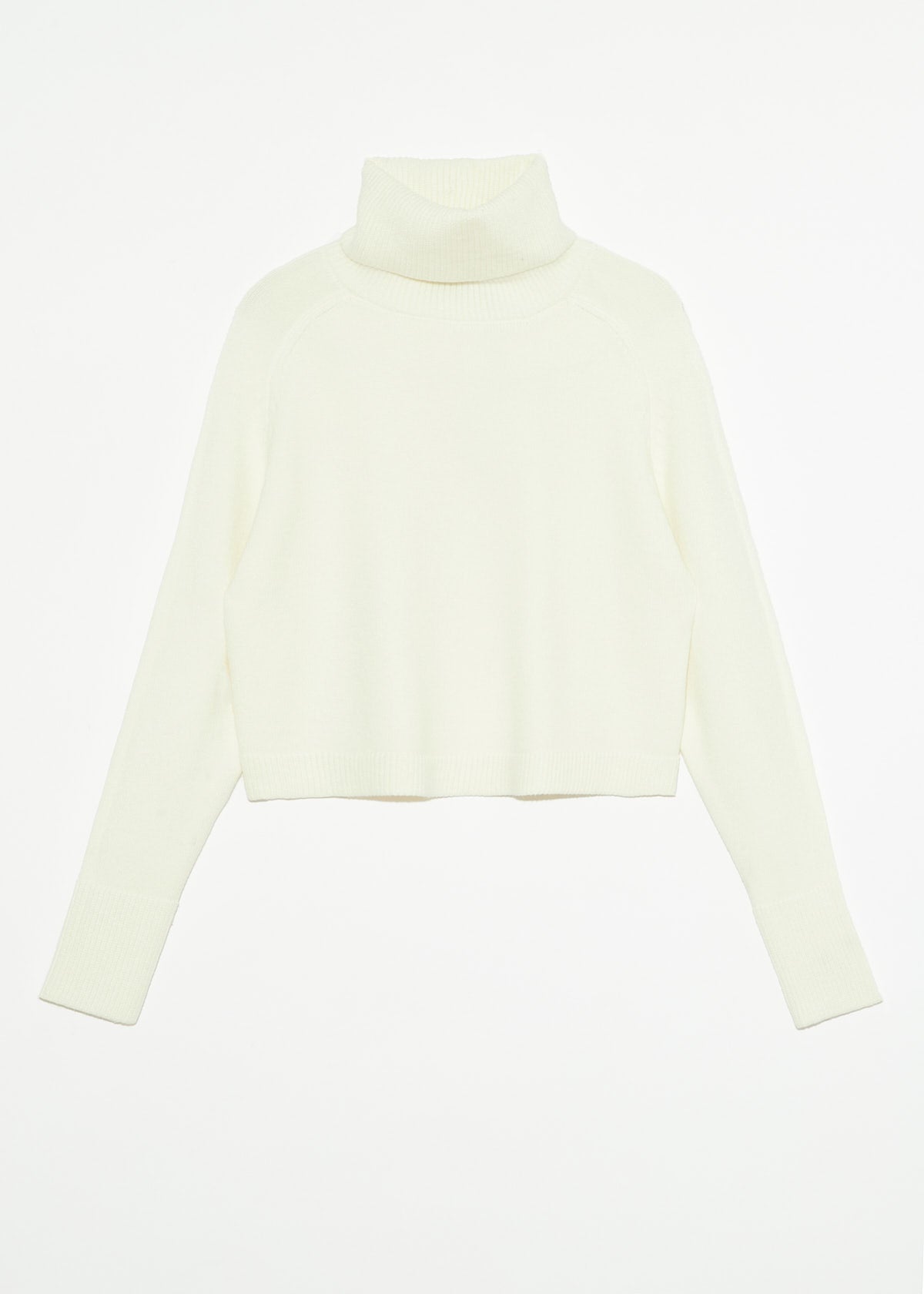 PUGLIESE TURTLENECK SWEATER