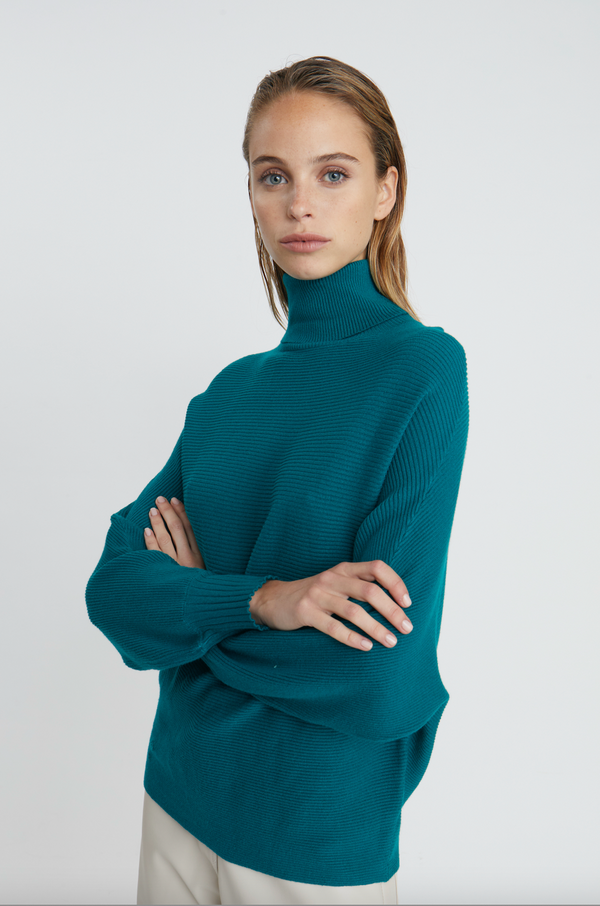 Cassia Turtleneck Sweater